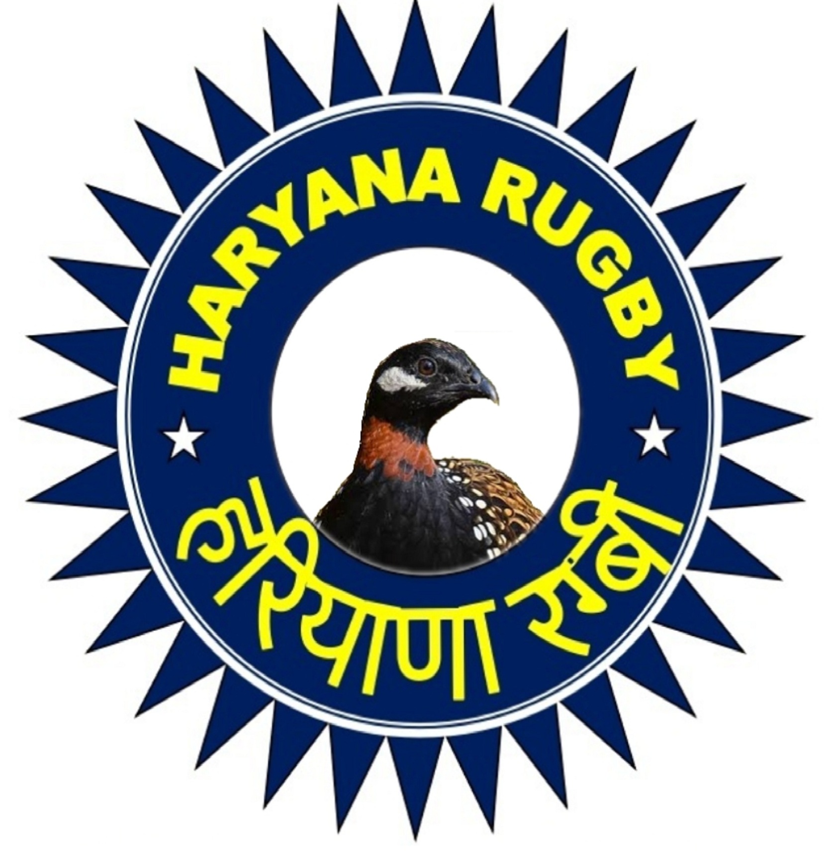 Haryana Rugby